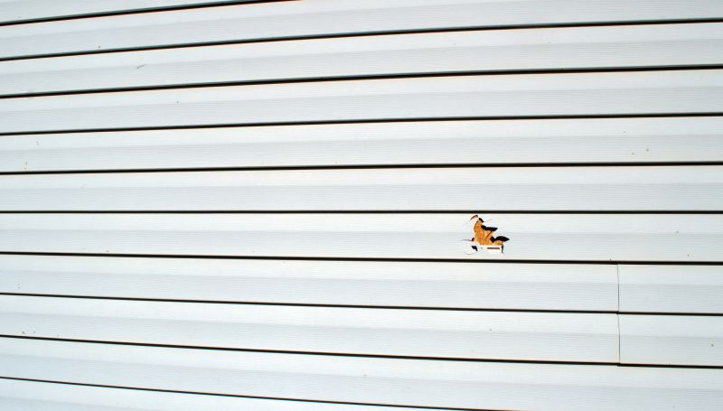 Accessibility of the Site